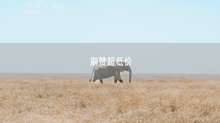 刷赞超低价