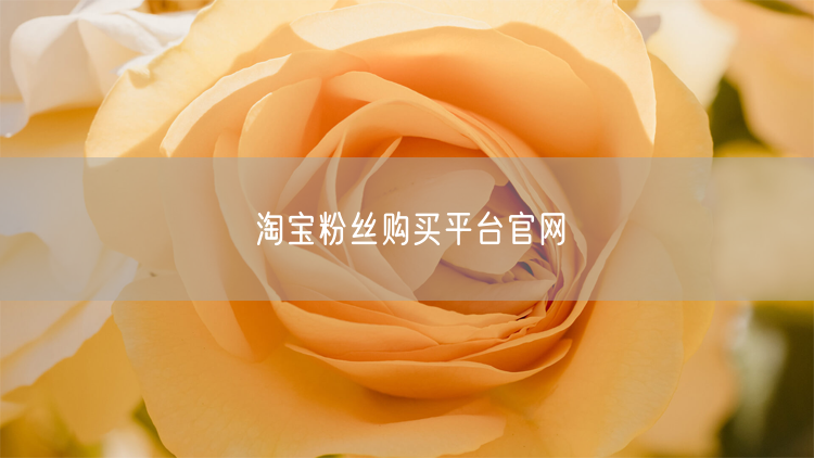 淘宝粉丝购买平台官网