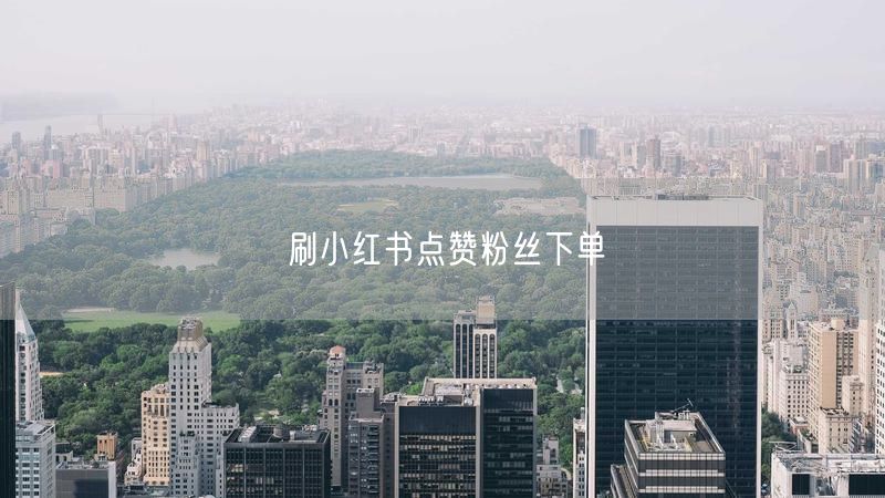 刷小红书点赞粉丝下单