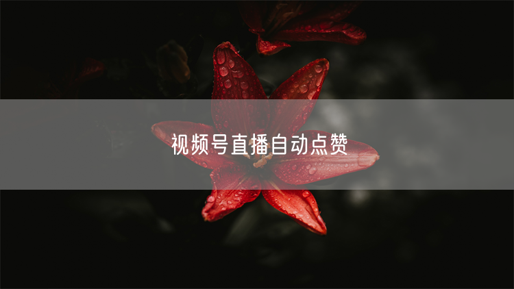 视频号直播自动点赞