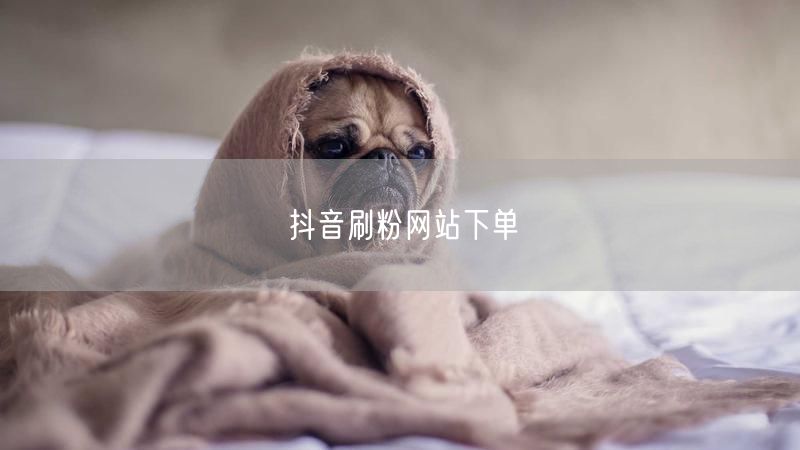 抖音刷粉网站下单