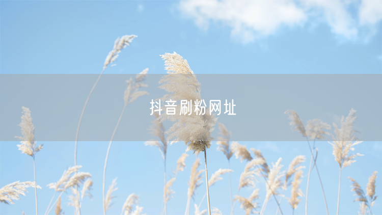 抖音刷粉网址