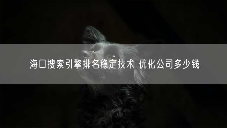 海口搜索引擎排名稳定技术 优化公司多少钱