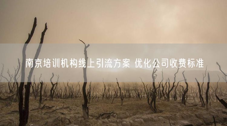 南京培训机构线上引流方案 优化公司收费标准