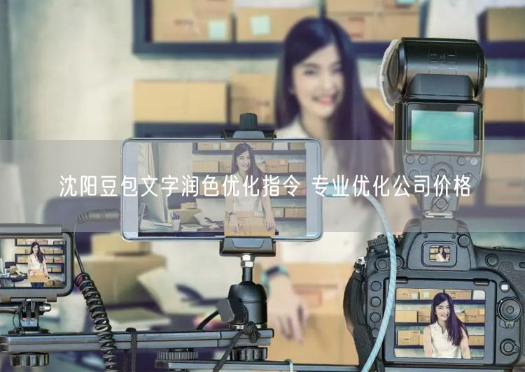 沈阳豆包文字润色优化指令 专业优化公司价格