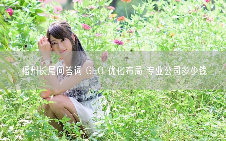 福州长尾问答词 GEO 优化布局 专业公司多少钱