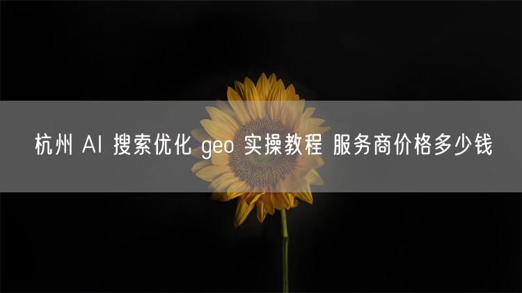 杭州 AI 搜索优化 geo 实操教程 服务商价格多少钱