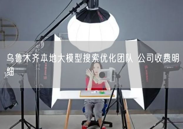 乌鲁木齐本地大模型搜索优化团队 公司收费明细