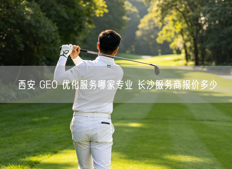 西安 GEO 优化服务哪家专业 长沙服务商报价多少