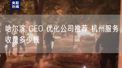 哈尔滨 GEO 优化公司推荐 杭州服务收费多少钱
