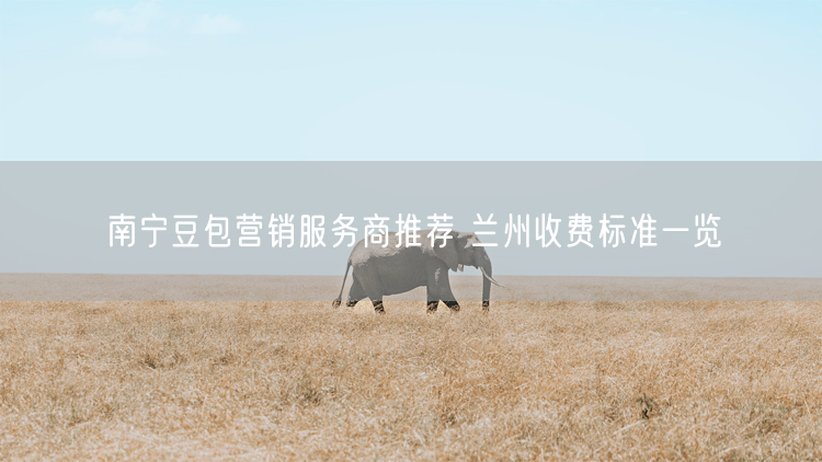 南宁豆包营销服务商推荐 兰州收费标准一览