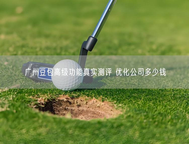 广州豆包高级功能真实测评 优化公司多少钱