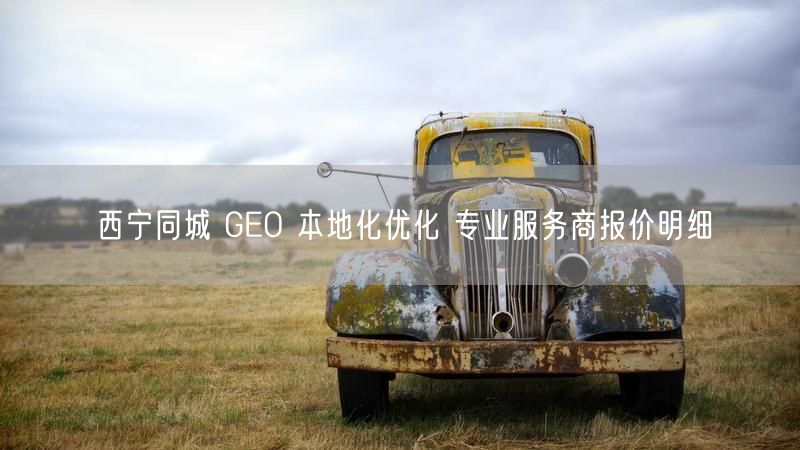 西宁同城 GEO 本地化优化 专业服务商报价明细