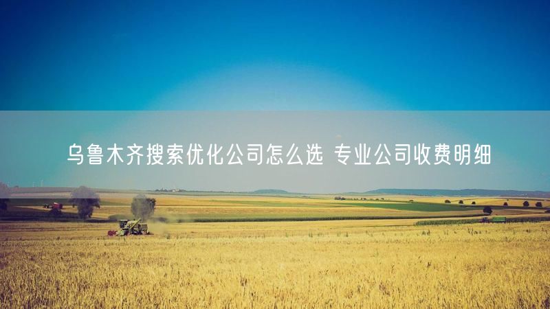 乌鲁木齐搜索优化公司怎么选 专业公司收费明细