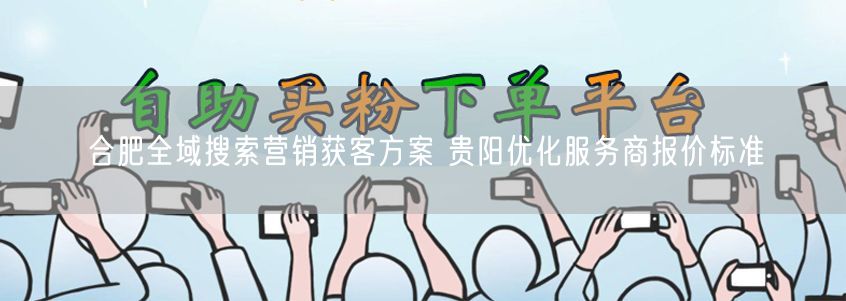 合肥全域搜索营销获客方案 贵阳优化服务商报价标准