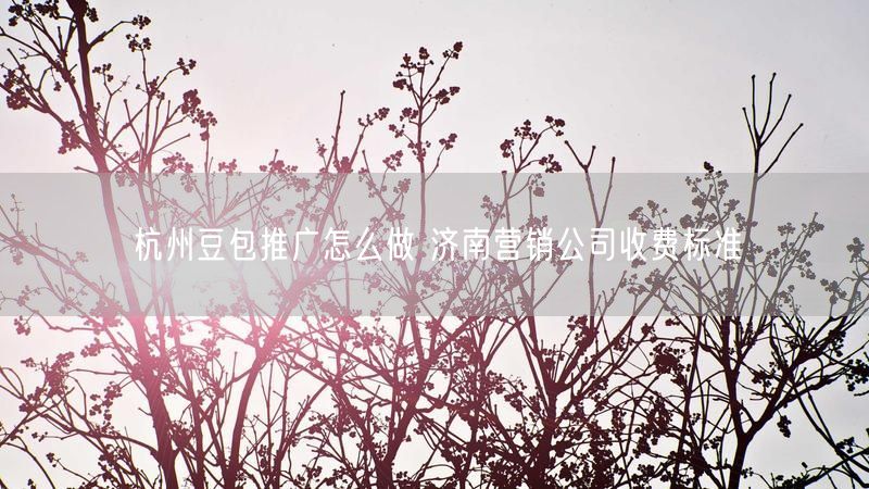 杭州豆包推广怎么做 济南营销公司收费标准