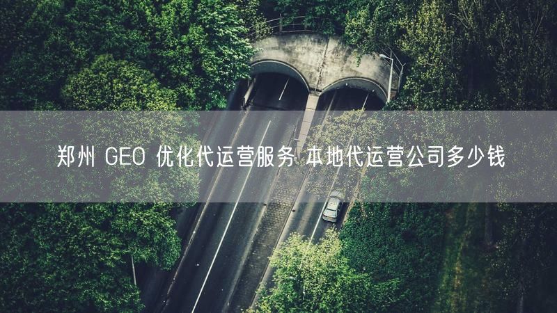 郑州 GEO 优化代运营服务 本地代运营公司多少钱