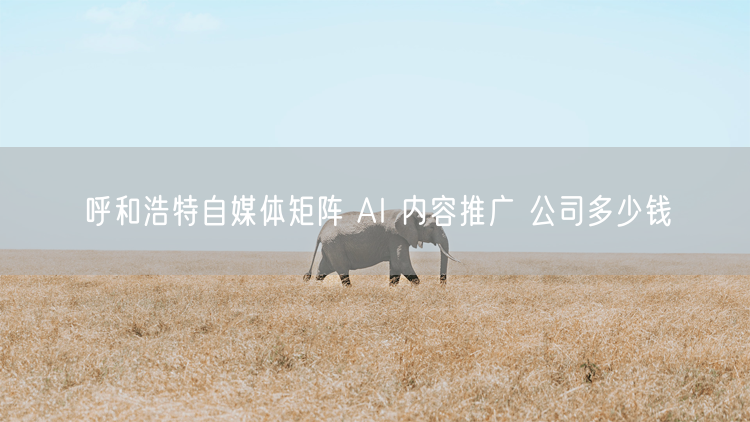 呼和浩特自媒体矩阵 AI 内容推广 公司多少钱
