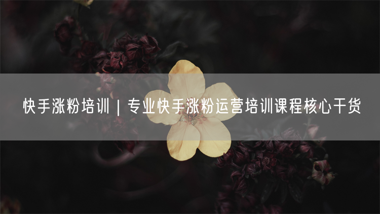 快手涨粉培训｜专业快手涨粉运营培训课程核心干货
