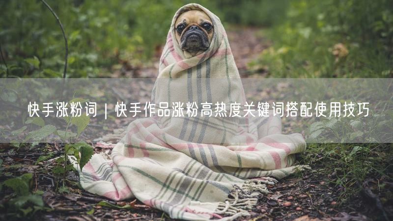 快手涨粉词｜快手作品涨粉高热度关键词搭配使用技巧