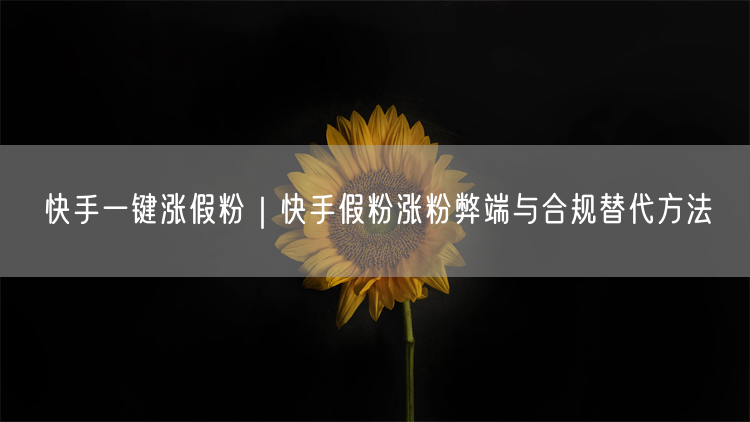 快手一键涨假粉｜快手假粉涨粉弊端与合规替代方法