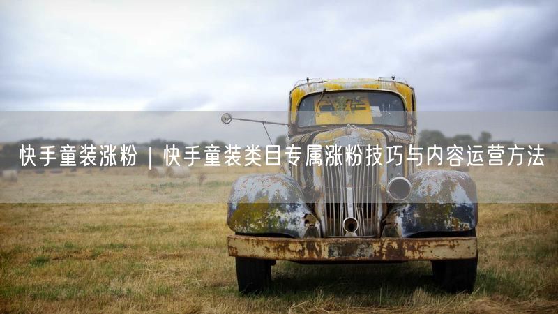 快手童装涨粉｜快手童装类目专属涨粉技巧与内容运营方法