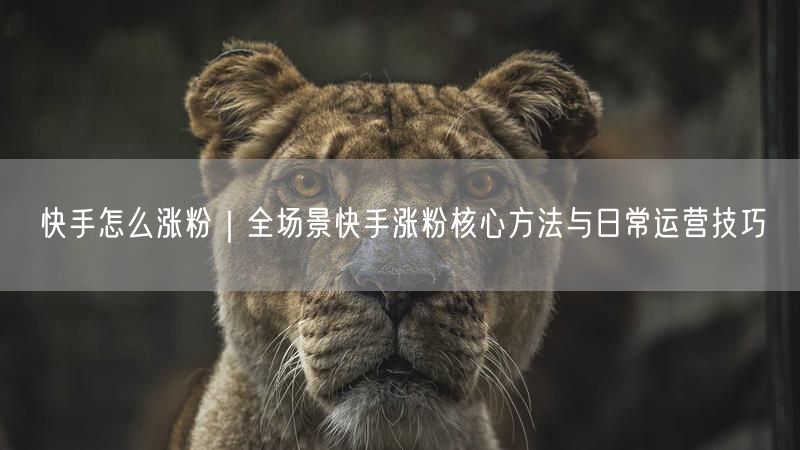 快手怎么涨粉｜全场景快手涨粉核心方法与日常运营技巧