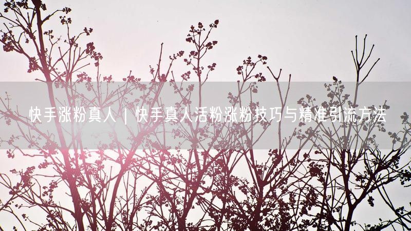 快手涨粉真人｜快手真人活粉涨粉技巧与精准引流方法