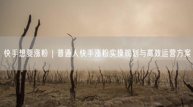 快手想要涨粉｜普通人快手涨粉实操规划与高效运营方案