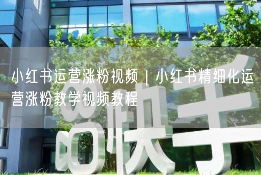 小红书运营涨粉视频｜小红书精细化运营涨粉教学视频教程