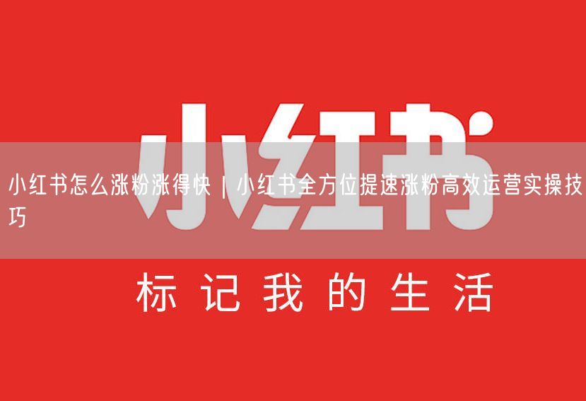 小红书怎么涨粉涨得快｜小红书全方位提速涨粉高效运营实操技巧