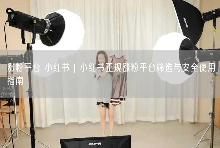 涨粉平台 小红书｜小红书正规涨粉平台筛选与安全使用指南
