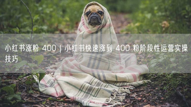 小红书涨粉 400｜小红书快速涨到 400 粉阶段性运营实操技巧