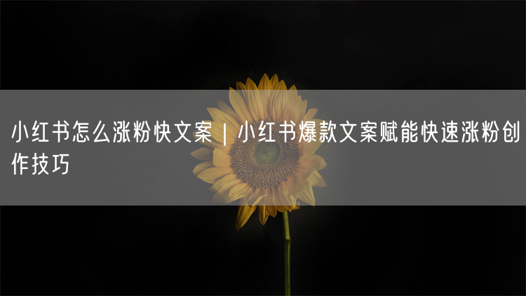 小红书怎么涨粉快文案｜小红书爆款文案赋能快速涨粉创作技巧