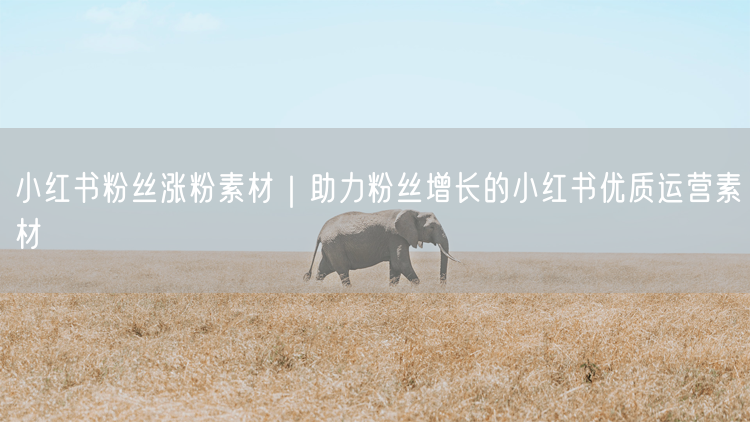 小红书粉丝涨粉素材｜助力粉丝增长的小红书优质运营素材