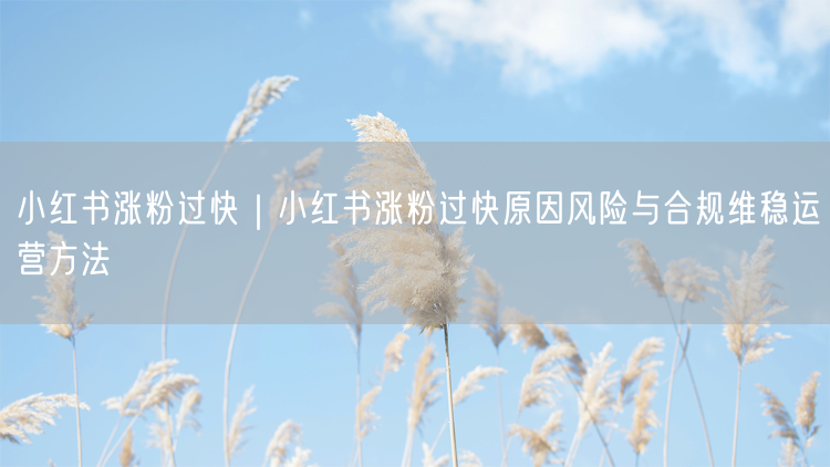 小红书涨粉过快｜小红书涨粉过快原因风险与合规维稳运营方法