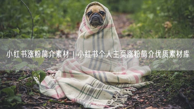 小红书涨粉简介素材｜小红书个人主页涨粉简介优质素材库