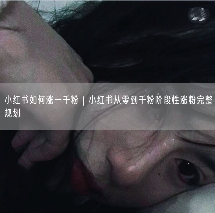 小红书如何涨一千粉｜小红书从零到千粉阶段性涨粉完整规划
