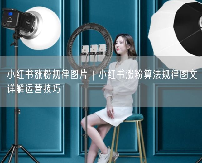 小红书涨粉规律图片｜小红书涨粉算法规律图文详解运营技巧