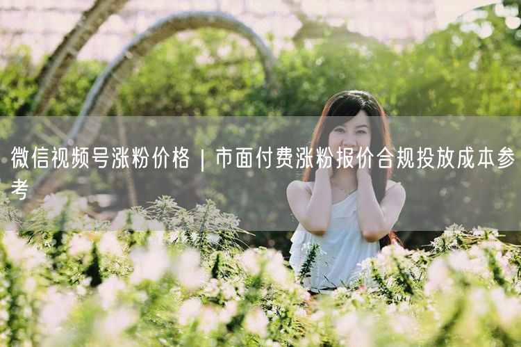 微信视频号涨粉价格｜市面付费涨粉报价合规投放成本参考