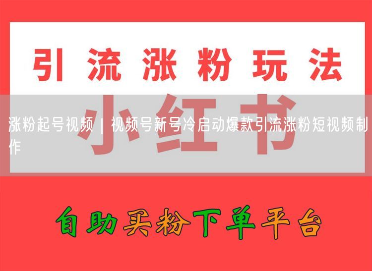涨粉起号视频｜视频号新号冷启动爆款引流涨粉短视频制作