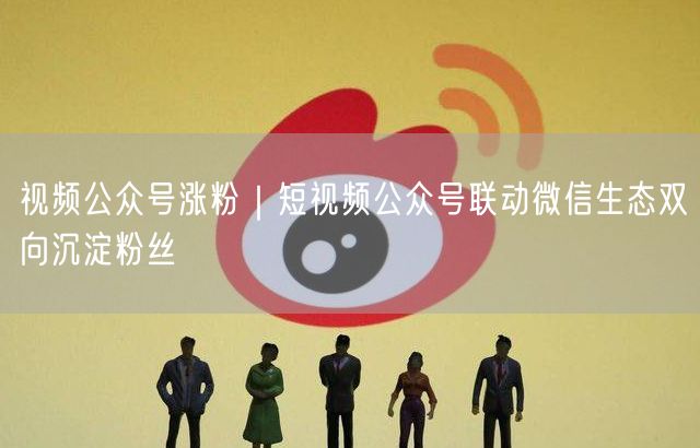 视频公众号涨粉｜短视频公众号联动微信生态双向沉淀粉丝