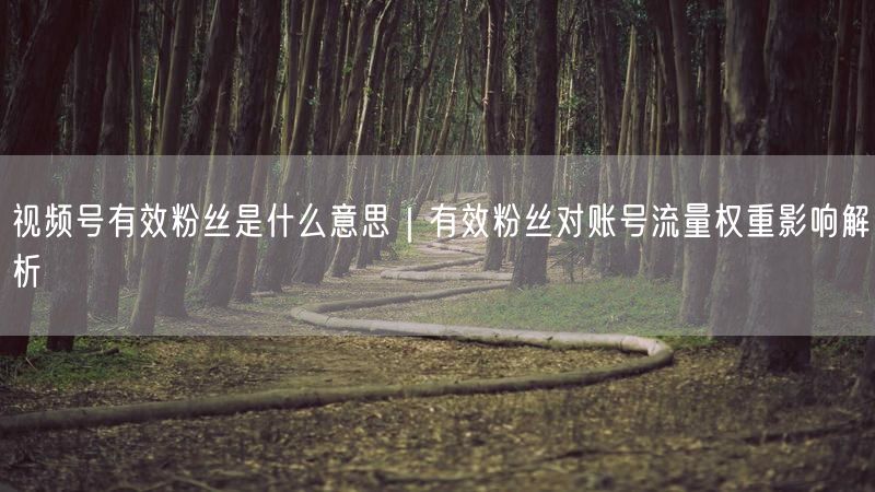 视频号有效粉丝是什么意思｜有效粉丝对账号流量权重影响解析