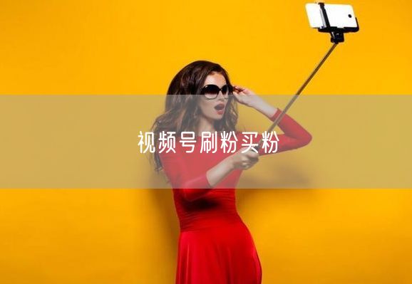 视频号刷粉买粉