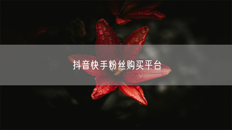 抖音快手粉丝购买平台