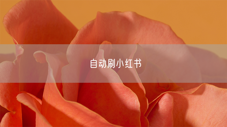 自动刷小红书
