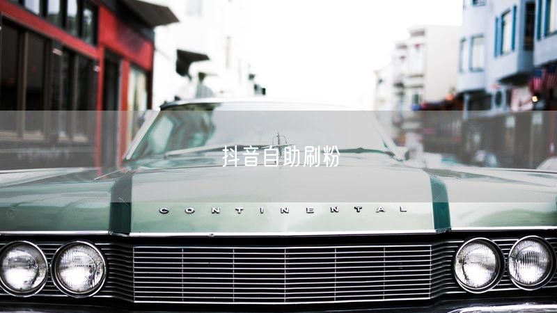 抖音自助刷粉