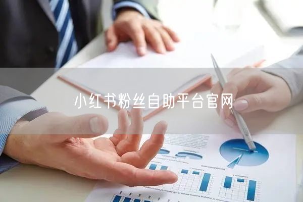 小红书粉丝自助平台官网