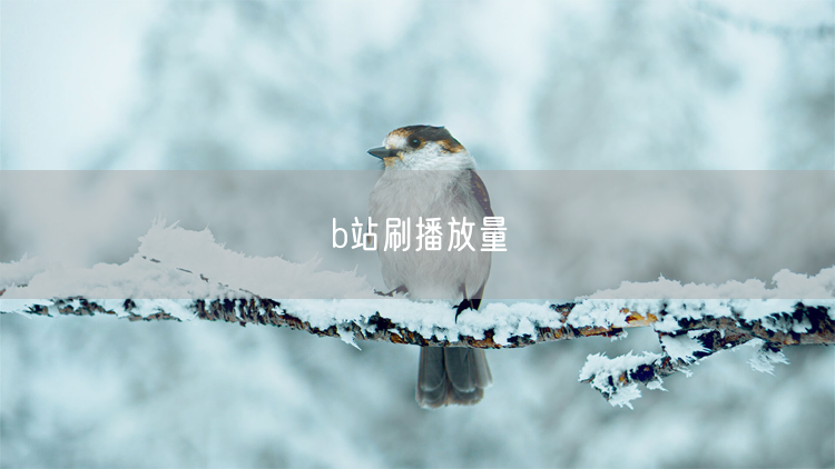 b站刷播放量