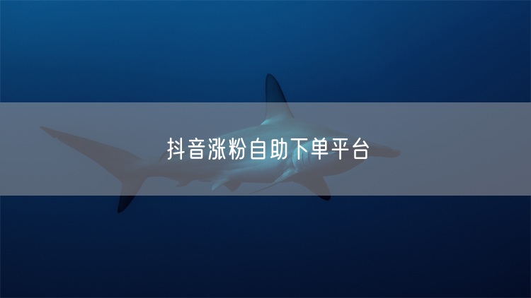 抖音涨粉自助下单平台
